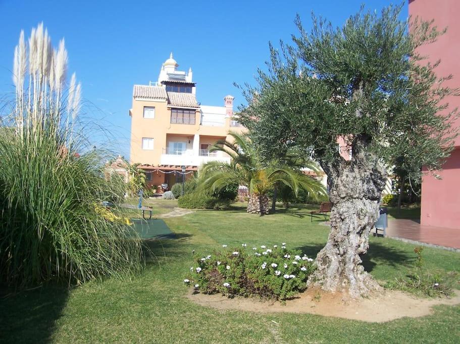 Bajo Con Terraza Piscina Y Jardin Apartment Sanlúcar de Barrameda Exterior photo